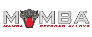 Black Mamba logo