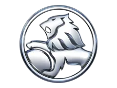 Holden Rego Checks