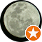 Allison Review